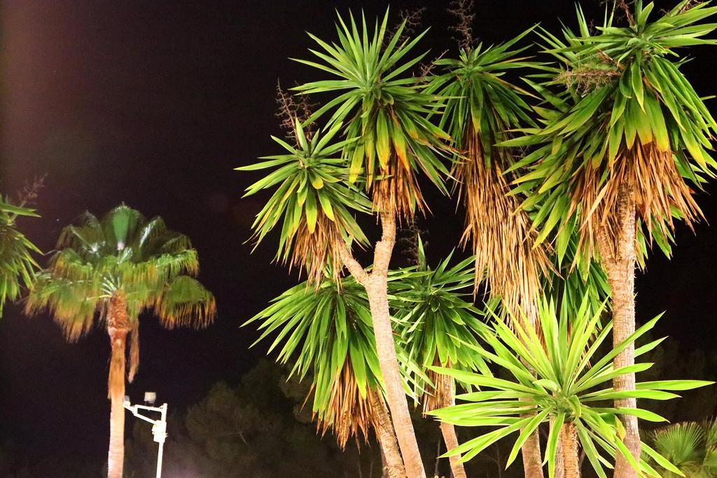 Villa Columbus Family Boutique Hotel Peguera Dış mekan fotoğraf