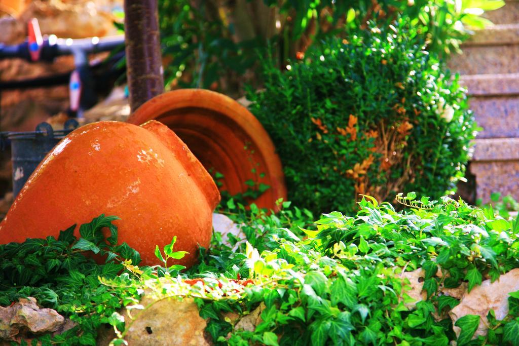 Villa Columbus Family Boutique Hotel Peguera Dış mekan fotoğraf
